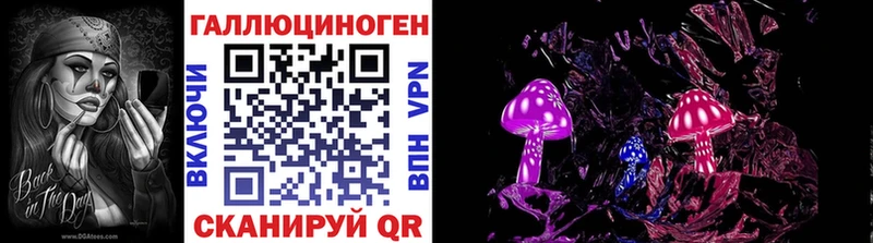 где продают   Ишимбай  Псилоцибиновые грибы Psilocybine cubensis 